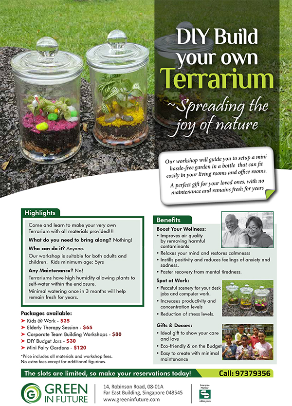 diy terrarium workshops