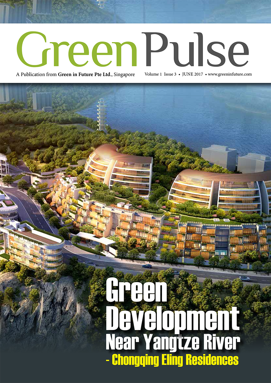 Issue 3 Jun 2017  Green Pulse