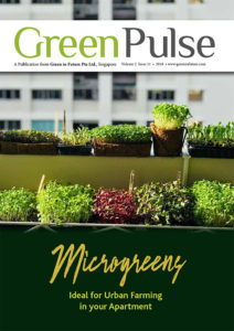 green pulse issue 11