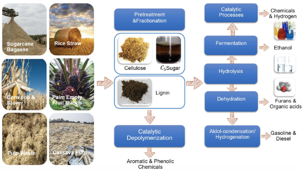 Green Bio-based Materials From Agricultural Waste For A Circular 